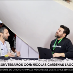 Entre Perros y Gatos | Especial Congreso