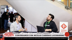 Entre Perros y Gatos | Especial Congreso