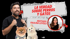 Entre Perros y Gatos | PetSmile